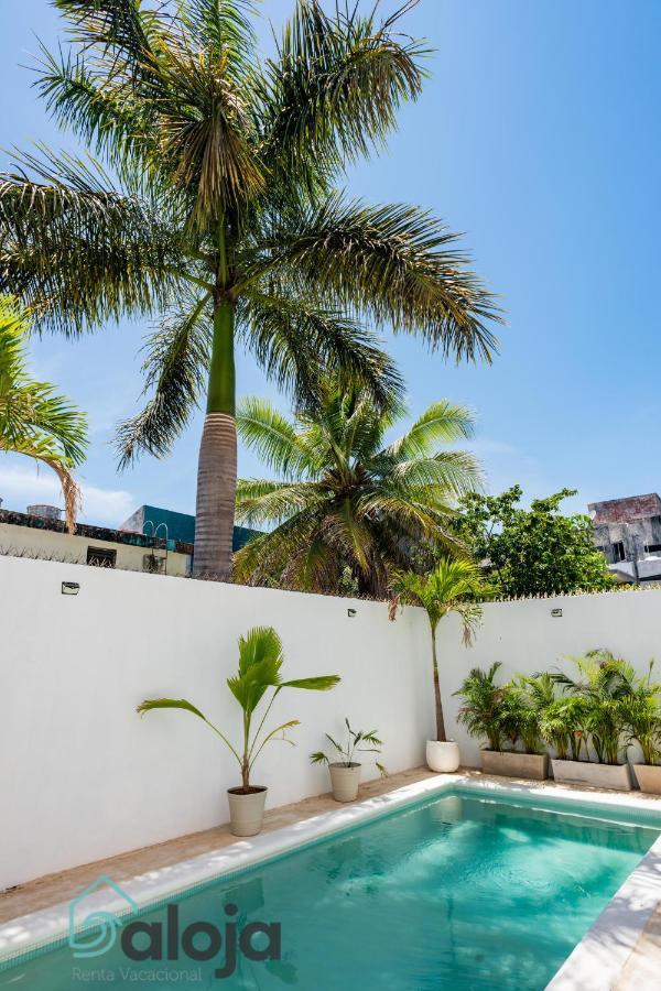Vica Guest House Con Piscina En La Entrada De La Zona Hotelera Cancún Eksteriør bilde